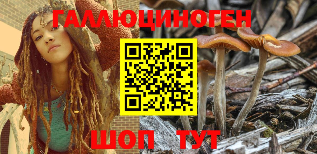Псилоцибиновые грибы мухоморы Белогорск